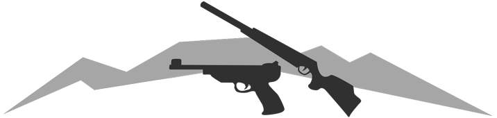 Luftgewehr in dieser Kategorie kaufen