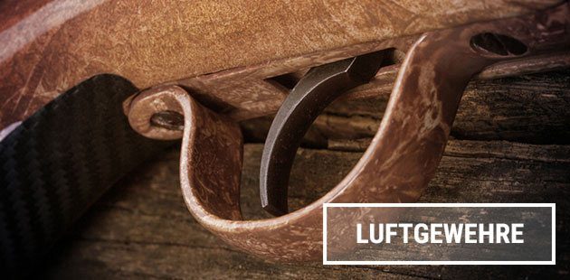 SchieГџspiele Luftgewehr Kostenlos SchieГџspiele Luftgewehr Kostenlos