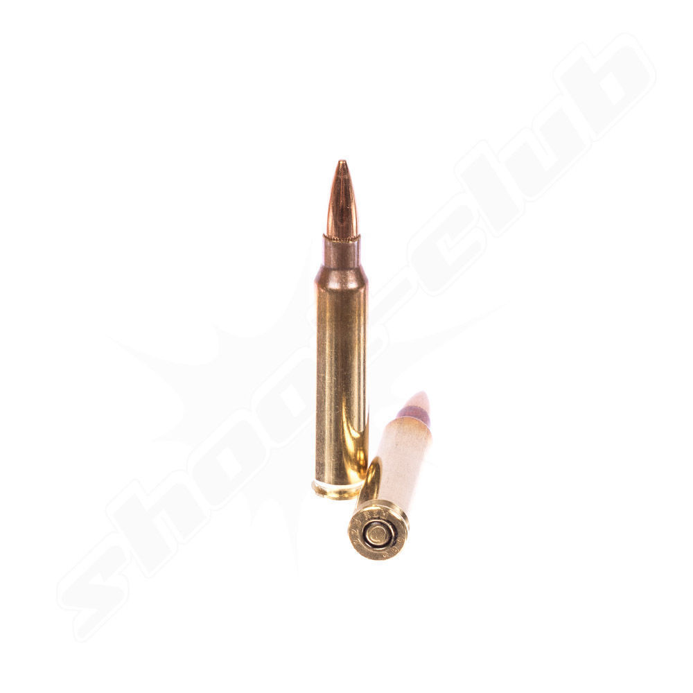 Magtech .223Rem. FMJ - 55grs. 50 Schuss Bild 2