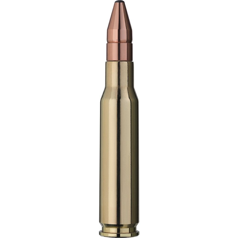 RWS DK .308Win 10,7g 165grs Bchsenpatronen Doppelkern Bild 2