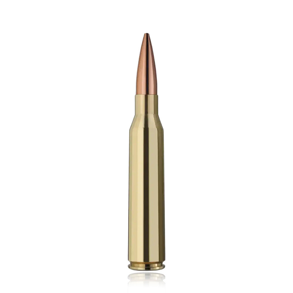 RWS Target Elite Plus Match Buechsenpatrone 250 grs .338 Lapua Magnum Bild 3