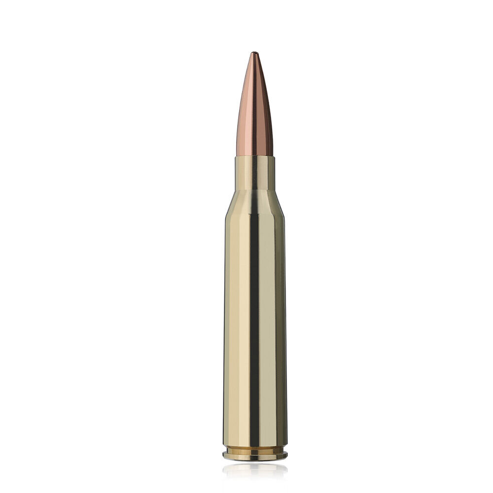 RWS Target Elite Plus Match Buechsenpatronen 300 grs .338 Lapua Magnum Bild 2