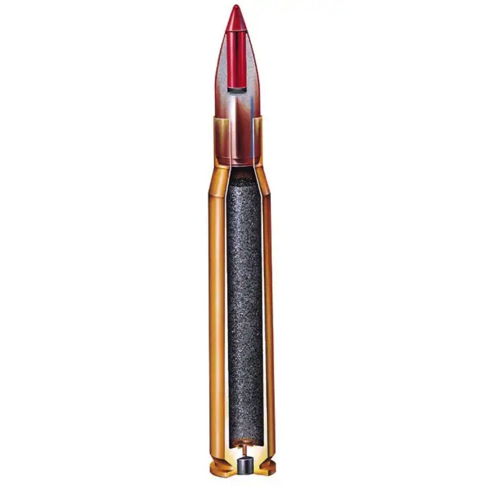 Hornady NTX 15,5grs .17HMR 50 Schuss Kleinkaliber Munition Bild 2