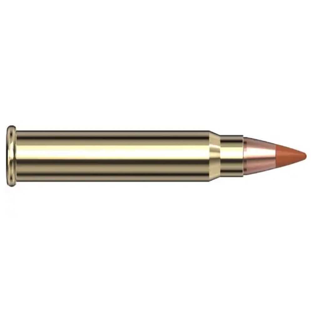 Hornady NTX 15,5grs .17HMR 50 Schuss Kleinkaliber Munition Bild 3