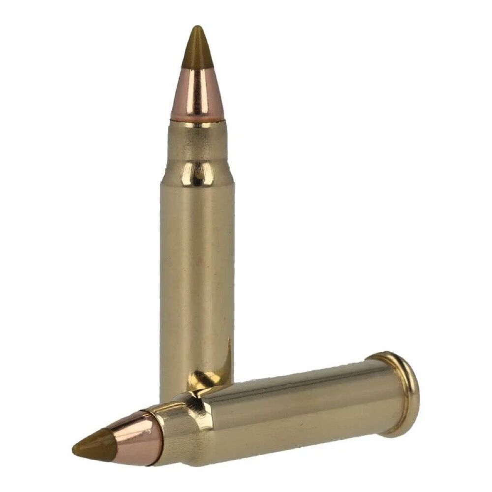 Remington Premier Magnum Rimfire AccuTip-V 17grs .17HMR 50 Schuss Kleinkaliber Munition Bild 4