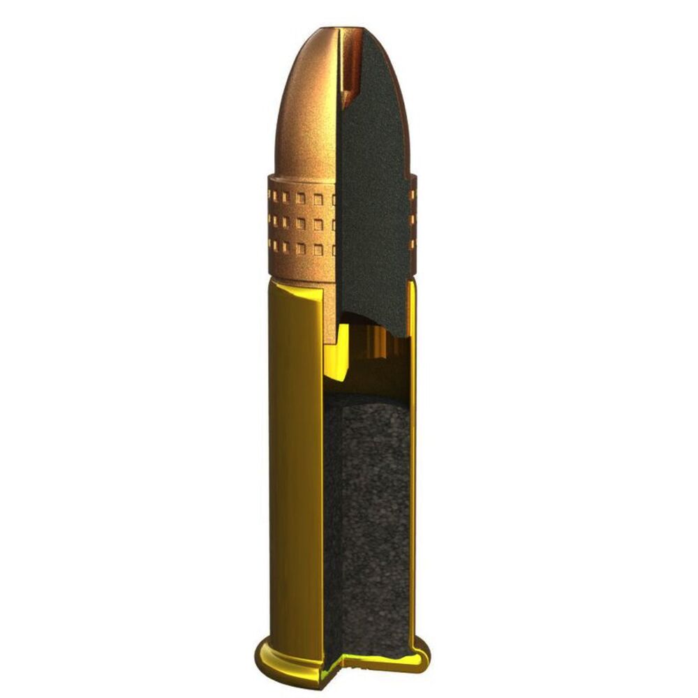 Remington Golden Hunter PHP 40grs .22lr 550 Schuss Kleinkaliber Munition Bild 3