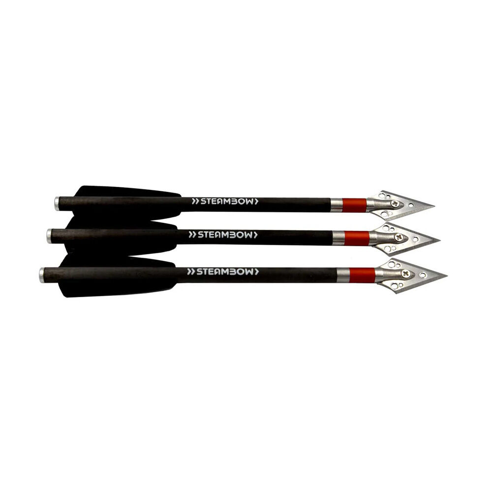 Steambow AR-Series schwere Jadgpfeile Carbon 3 Stck