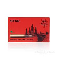 Geco Star Bchsenpatronen .30-06 10,7g / 165grs. - 20 Stck