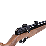 Diana Stormrider Pressluftgewehr 4,5mm Diabolos im Super-Target-Set Bild 5