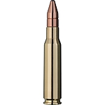 RWS DK .308Win 10,7g 165grs Bchsenpatronen Doppelkern Bild 3
