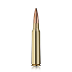 RWS Target Elite Plus Match Buechsenpatrone 250 grs .338 Lapua Magnum Bild 4