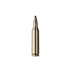 RWS Teilmantel TMS Bchsenpatronen 6,5 g / 100 grs .243 Win Bild 3