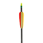 EK Archery Carbon Pfeile 30 Zoll blau 6er Pack Bild 3