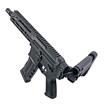 ASG FLCN 5,56 Airsoft Gewehr S-AEG 6mm BB schwarz 