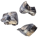 CCI Maxi-Mag SHP .22WMR 46Grs. 50 Schuss Kleinkaliber Munition Jagd 