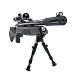 Gamo Arrow Sniper Pressluftgewehr 3-9x40 WR Zielfernrohr Zweibein 5,5 mm Diabolo Polymer 
