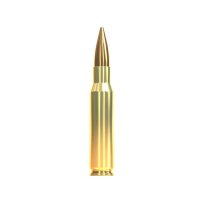 Sellier & Bellot .308 Win. Büchsenpatronen...