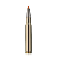 RWS HIT Büchsenpatronen .30-06. 10,7g/165Grs. - 20...