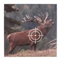 Zielscheiben / Schießscheiben / Tiermotiv Hirsch /...