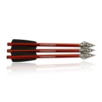 Steambow AR-Series Jagdpfeile Armbrustbolzen Jagdspitze