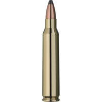 RWS TMS Büchsenpatronen .223 Rem 3,6g / 55grs